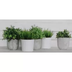 Csempe, Valore Lakewood Spa Dekor (CCR56) 30x60