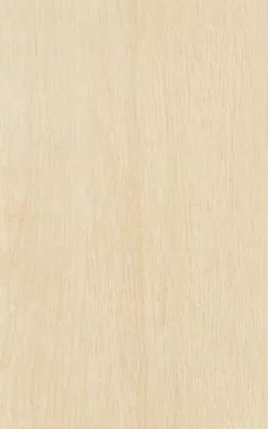 Csempe, Zalakerámia LEGNO BEIGE 25X40 ZAL-ZBD 42035