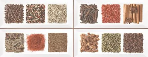 Dekorlap, Zalakerámia Carneval PICCANTE F-53022 20X50X2 ZAL-DPIF53022