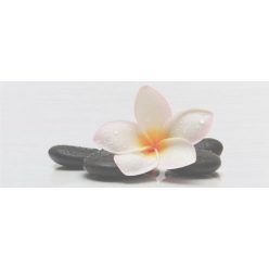 Dekorlap, Zalakerámia Kendo SPA F-53001 20X50 ZAL-DSPF53001