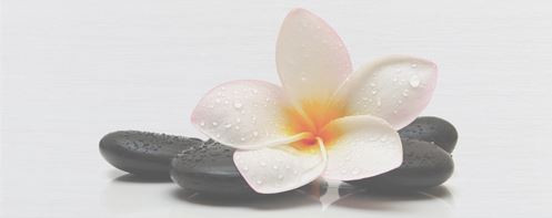 Dekorlap, Zalakerámia Kendo SPA F-53001 20X50 ZAL-DSPF53001