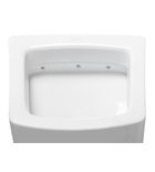 Vizelde, Sapho Isvea PURITY piszoár 38x53 10PL92002