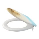 Wc tető, AlcaPlast A604 Shell Soft Close Duroplast