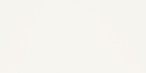 Csempe, Paradyz Classica Synergy Bianco 30x60cm