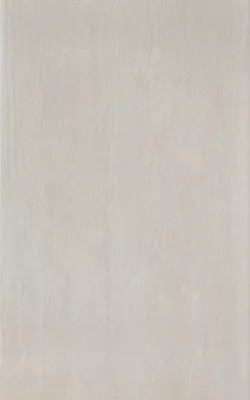 Csempe, Zalakerámia WOODSHINE BIANCO 25X40 ZAL-WOODSH BI
