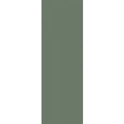 Csempe, Paradyz Nightwish Green MAT 25x75