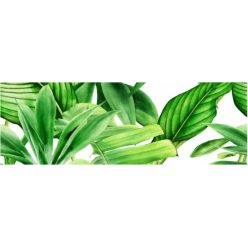 Dekorlap, Valore GARDEN TROPIC DEKOR A RET 25x75