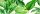 Dekorlap, Valore GARDEN TROPIC DEKOR A RET 25x75