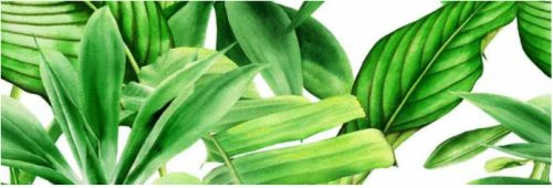 Dekorlap, Valore GARDEN TROPIC DEKOR A RET 25x75