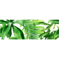Dekorlap,  Valore GARDEN TROPIC DEKOR B RET 25x75