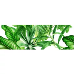 Dekorlap,  Valore GARDEN TROPIC DEKOR C RET 25x75