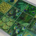 Mozaik, Aita Pavone 29,8x29,8