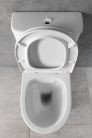 WC, Sapho BRUCKNER DARIO 201.431.4 monoblokkos WC ülőke nélkül, duálgombos öblítőmechanikával