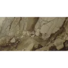 Járólap, Ape Ceramica Rex Brown Polished Rect 60X120 A035909
