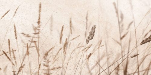 Dekorcsempe, Oliver Design Decor Icon Beige A 25x50