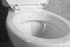 WC, Aqualine Manuel monoblokkos WC PS8814