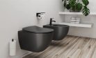 WC, Deante Peonia fali Wc csésze, perem nélküli, antracit/titanium CDE_DZPW