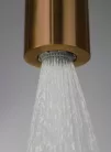 Zuhanyszett, Deante Silia zuhanyszett zuhany csapteleppel, szálcsiszolt bronz NQS_C4XM