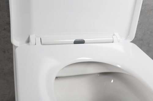 WC tető, Sapho Bruckner Leon wc ülőke, slim, soft-close 301.307.4