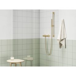   Zuhany csaptelep, Ravak Espirit fali, zuhanyszett nélkül ES 032.60GLB, Gold Brushed X070604