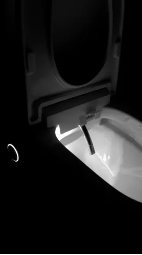 WC, Deante Silia Smart wc csésze automata ülőkével, fehér CSID6ZPW