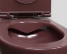 WC, Sapho Isvea Infinity Rimless fali wc 36,5x53 cm, gesztenyevörös 10NF02005-2R