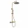 Zuhanyszett, Wellis Altona zuhanyoszlop brushed gold WZ00112